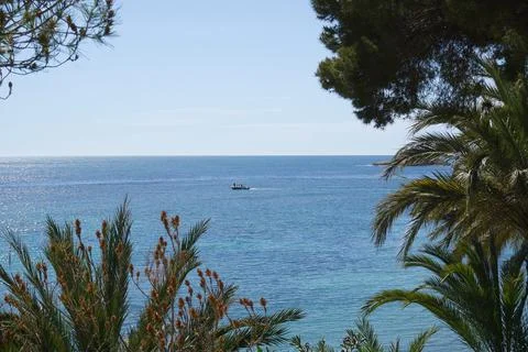 View of the sea between vegetation, located in Alicante, Spain Stock Photos