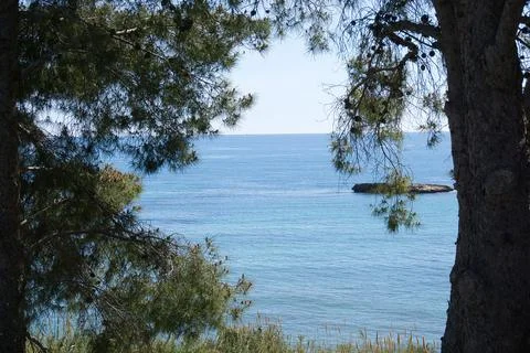 View of the sea between vegetation, located in Alicante, Spain Foto stock