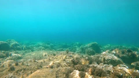 View of sea bottom or seabed full of rocks in mediterranean sea. Vídeos de archivo 133233736