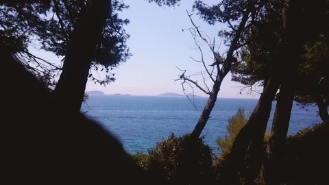 View on sea coast. Silouethe tree in front of sea surface. Stock Footage 90235361