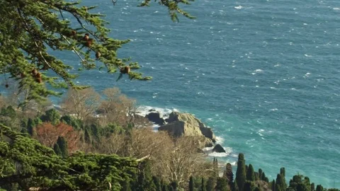 A view of the sea coast through a foreground tree Stock Footage 84740825