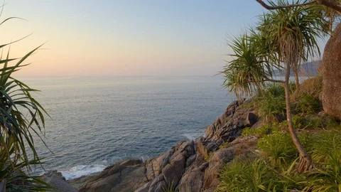 View on a sea during warm sunset from hill on rocky beach with palm tree Video stock 114915022