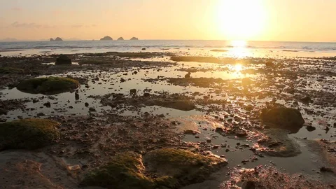 View Of The Sea In The Evening During Low Tide (1) Stock Footage 86288420