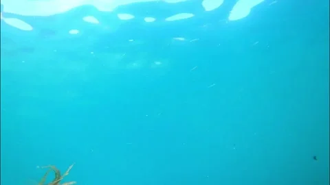 View from the sea floor Stock Footage 175473526