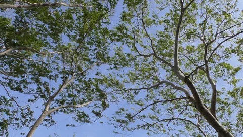 View of the sea Stock Footage 112709249