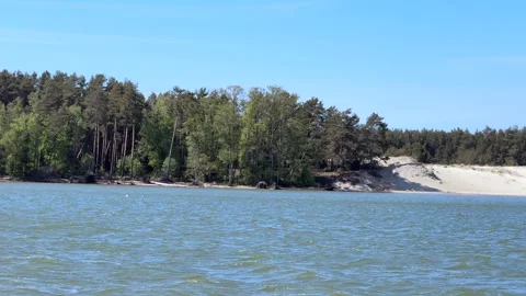 View from the sea of a forest area with pine trees on the dunes Stock-Footage 310256148