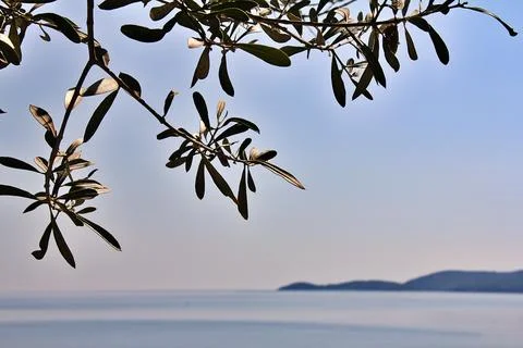View of sea Stock Photos