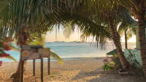 A view of the sea from the sandy beach with palm trees. Stock-Footage 330897056