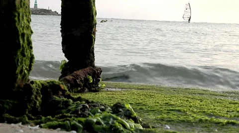 View of the sea with a small pier Stock Footage 33334906