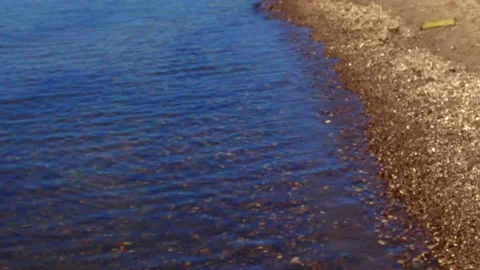 A view of the sea with small waves, the coast. The beach is transparent waves Stock Footage 169881712