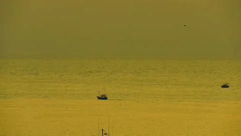 View of sea on sunset silhouette background Stock Footage 237338105