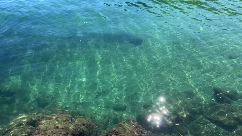 View of sea surface with bright reflections promoting peace and relaxation. 動画素材 342955730