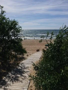 View of the sea through the branches Stock Photos