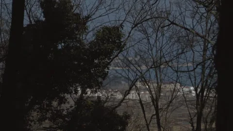 A view of the sea through the branches of the trees. Away from the city, a Stock Footage 315179355