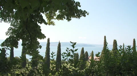 View Of Sea Through Green Trees Stock Footage 49501634