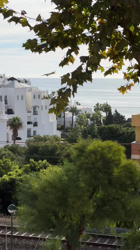 View of sea through tree branch in Torremolinos, Spain. Vertical Stock Footage 240920352