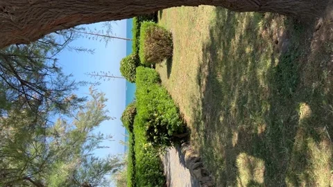 View of the sea through trees in Anzio, Italy. Vertical video Stock Footage 195199251