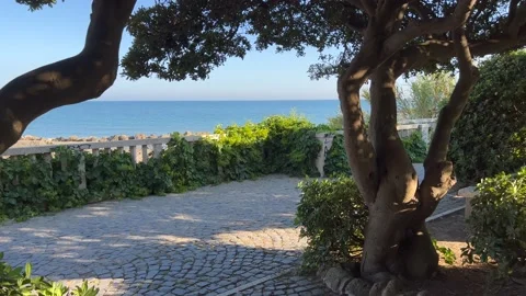 View of the sea through trees in Anzio, Italy Stock Footage 195199285