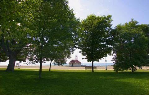 A View Of The Sea Through The Trees Stock Photos