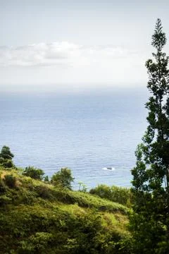 View on the sea from the top of the cliff Stock Photos
