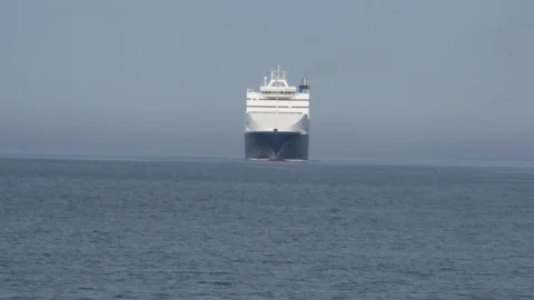 View of the sea of Trieste from the pier with arrival of the cruise ship Stock Footage 101382024