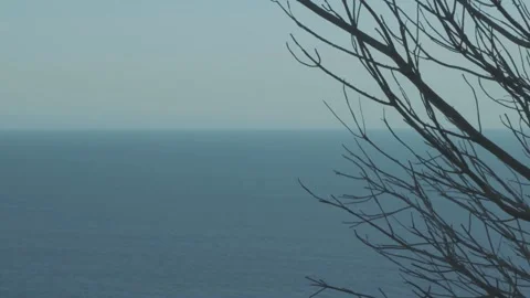 View of the sea from a viewpoint Stock Footage 139427955