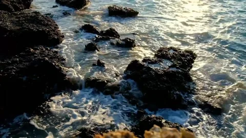 View of sea water Stock Footage 233513047