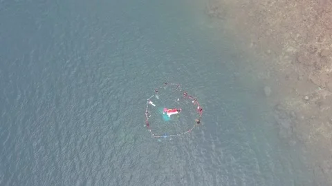 View in the sea when swimmers make circles using drones Video stock 235479428