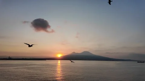 View of seagulls on the sea at dawn, in the background the Vesuvius volcano. Video stock 282109277