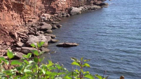 View of a seal sunbathing in Quebec Stock Footage 143212660