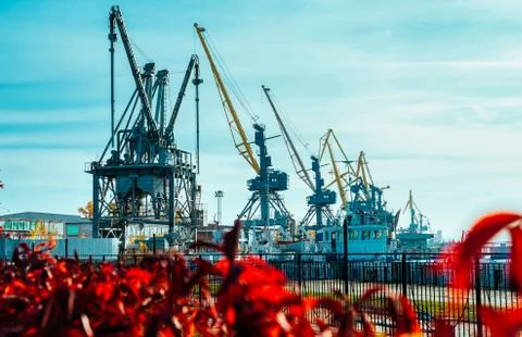 View on seaport with cranes. Cargo container yard. Industrial scene Stock Photos