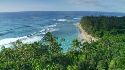 View of seascape and forest Stock Footage 57815150
