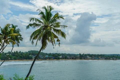 View of the seashore with dense clouds and palm trees Stock Photos