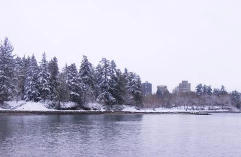 A View of Second Beach covered in snow with pine trees in the background. Stock Photos