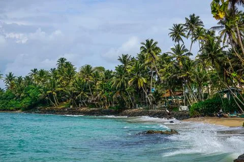 View to the secret empty paradise beach, blue ocean with palm trees and fishe Stock Photos