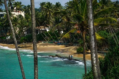 View to the secret empty paradise beach, blue ocean with palm trees and fishe Stock-Fotos