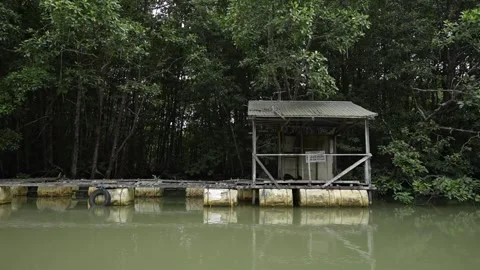 View of the security post around the mangrove forest Stock Footage 255869188