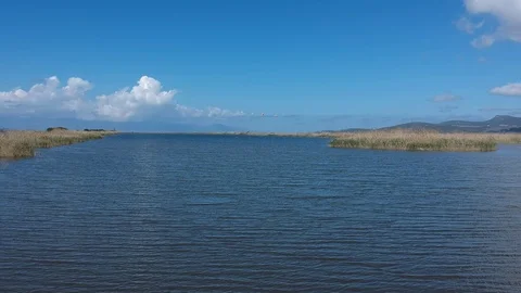 View of a sedgy with nice clouds at spring Stock Footage 106358973