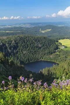 View from Seebuck peak at Feldberg Mountain on Feldsee Lake, Black Forest, Stock Photos