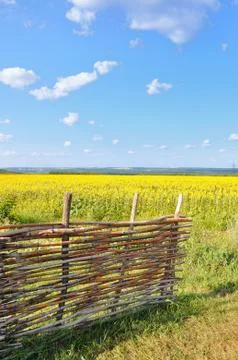 The view is seen from the yard Stock Photos