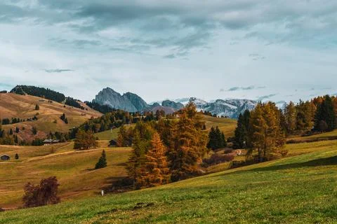 View of the Seiser Alm, the largest high alpine pasture in Europe in Italy. Stock Photos