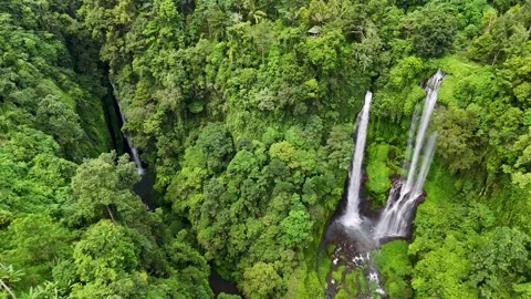 View of Sekumpul and hidden waterfall in Bali Indonesia Stock Footage 312742530