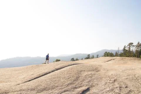 View from Sequoia Foto stock