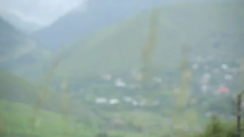 View of the settlement with rich greenery 3 Stock-Footage 329791404