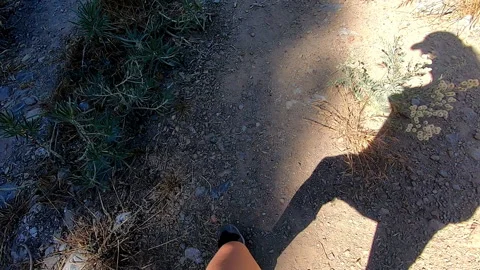 View of shadow of hiker walking on a trail, symbol of peace Stock Footage 172081168