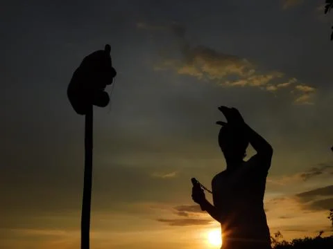 View of a shadow a man doing martial arts in the evening Stock Photos