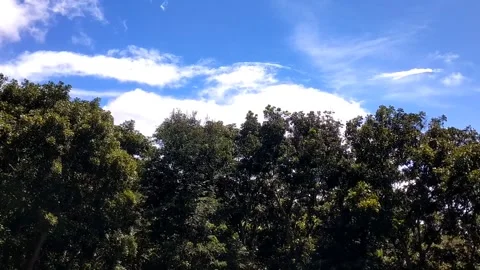 View of shady hills under cloudy skies Stock Footage 331227900