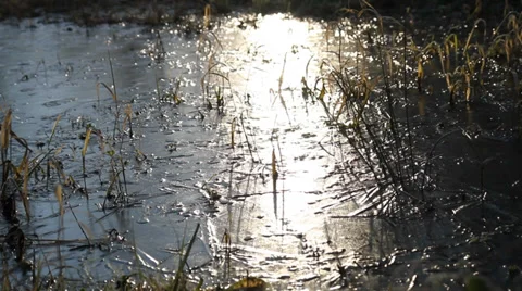 View of shallow creek Stock Footage 36846300