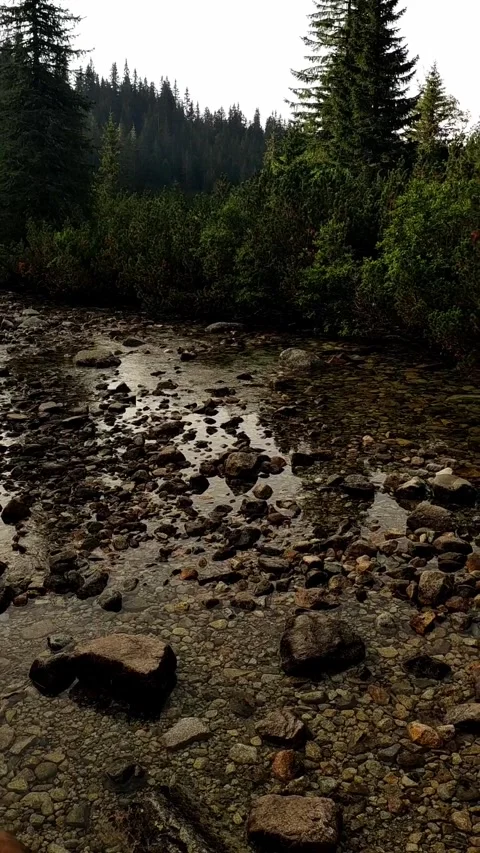 View shallow stream flowing over smooth rocks in the High Tatras Rysy Mountains Stock Footage 277657339