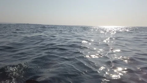 View Of A Shark Fin Moving Along The Surface Of A Water with Light Reflection Stock Footage 124307023